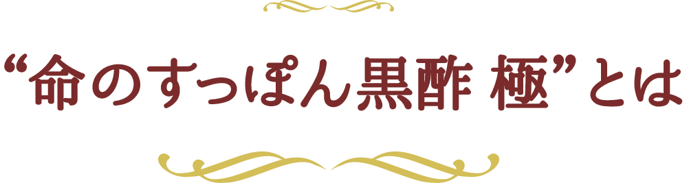 命のすっぽん黒酢 極とは